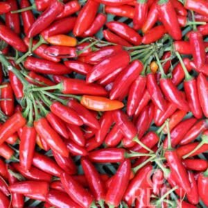 Kusburnu chili paprika bio vetőmag