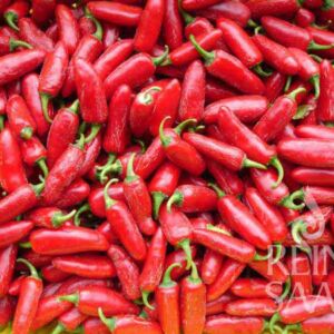 Jalapeno Ruben chili paprika bio vetőmag