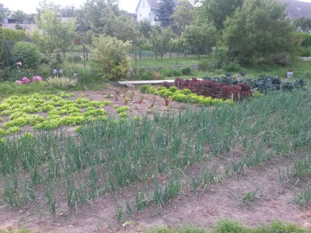 20160528_083017